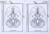D-nc-s122-0033-en-b