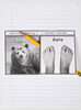 D-NC-L110-0020-EN-B-Homophones: bear, bare; notebook