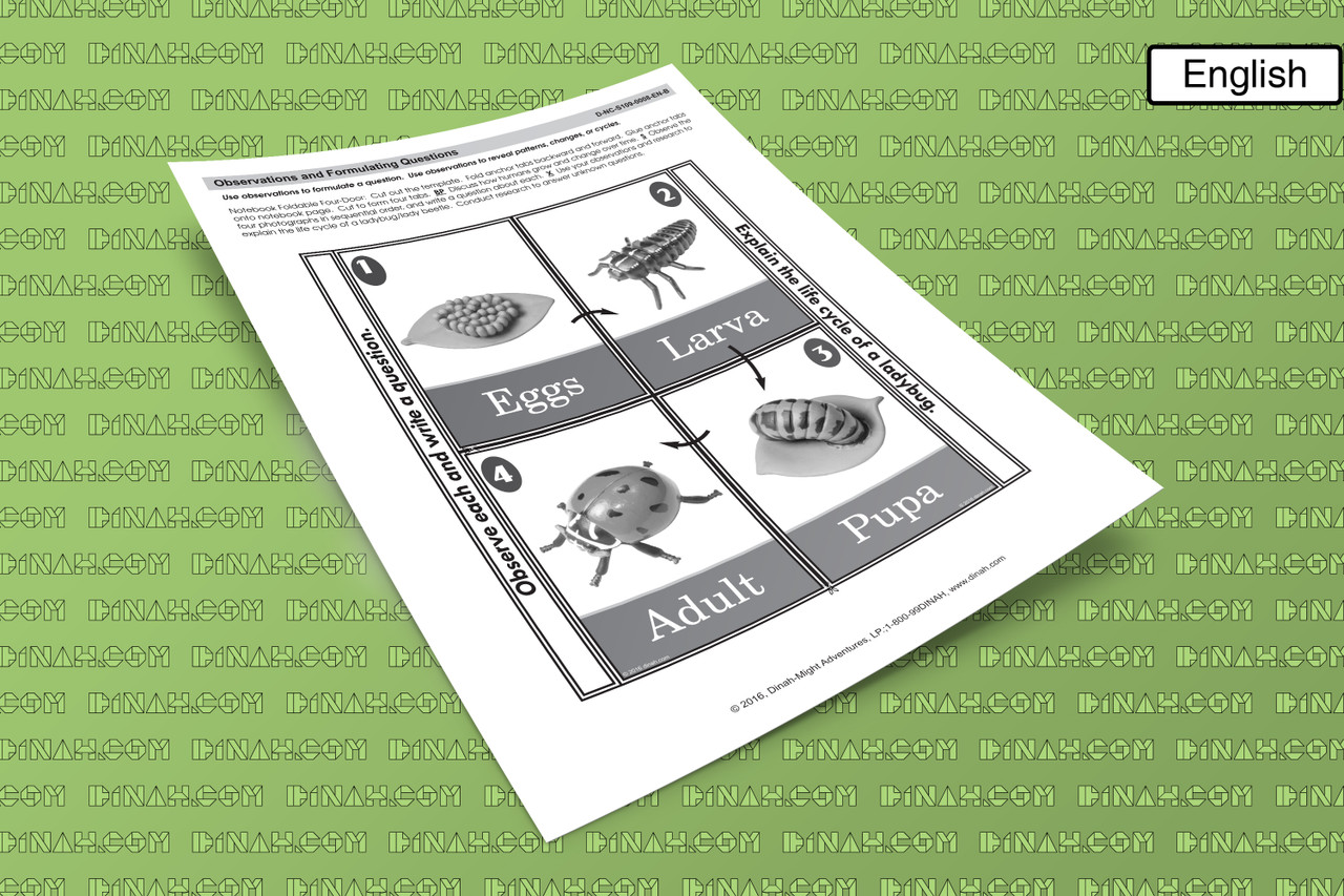 D-nc-s109-0008-en-b observations and formulating questions-2