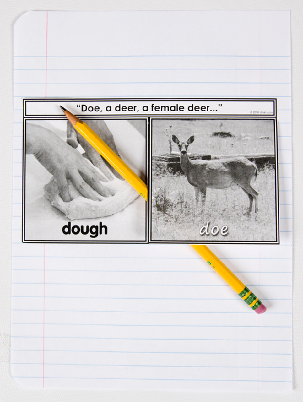 D-NC-L110-0030-EN-B- Homophones: doe, dough notebook