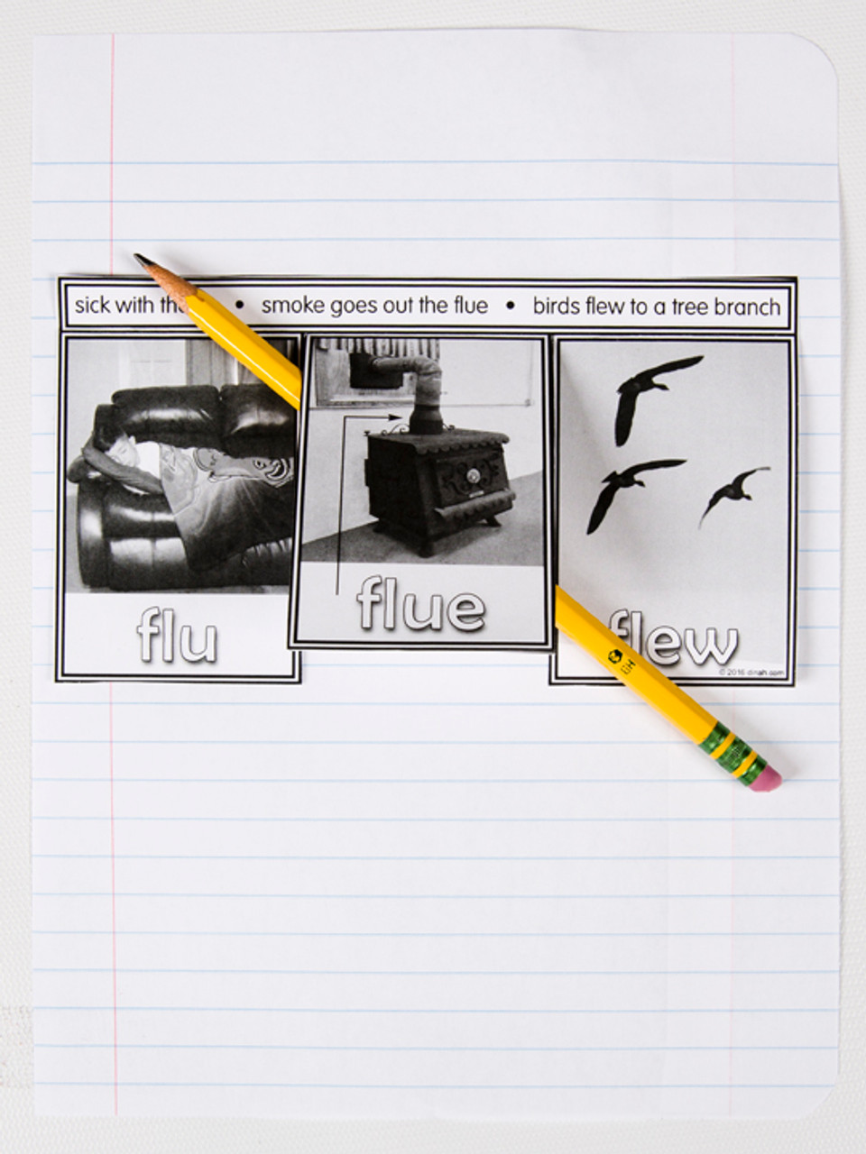 D-NC-L110-0058-EN-B-Homophones: flu, flue, flew; do, due, dew; notebook