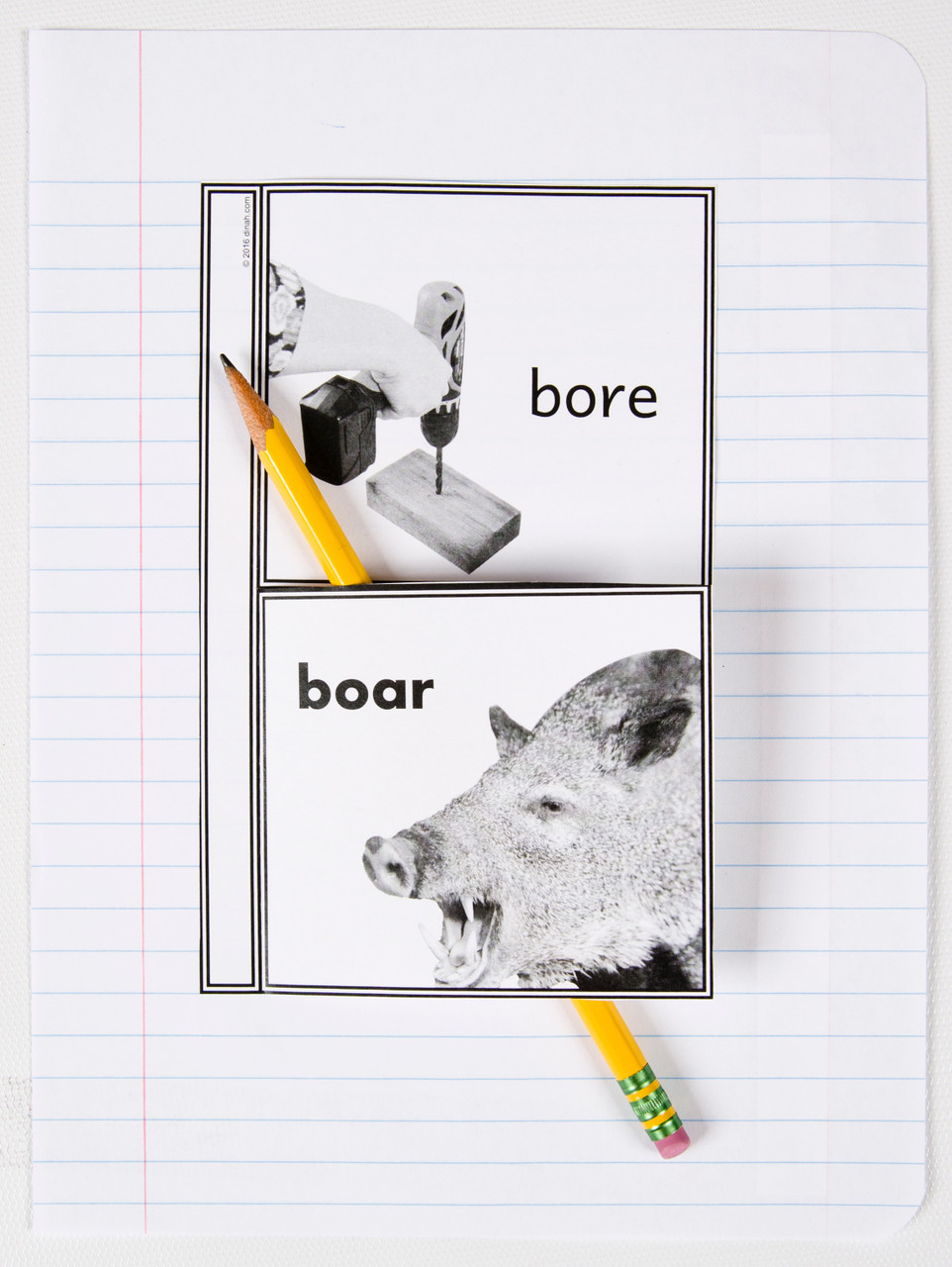 D-NC-L110-0021-EN-B-Homophones: bore, boar; notebook