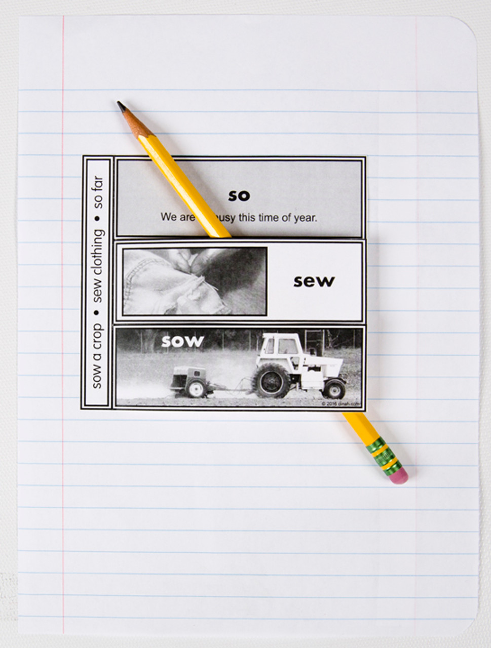 D-NC-L110-0063-EN-B-Homophone trio: so, sew, sow notebook