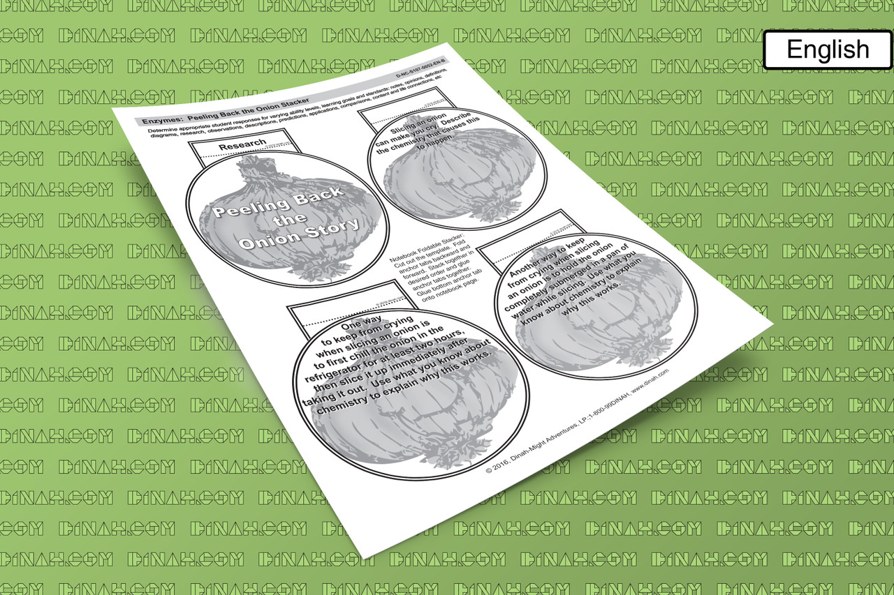 D-nc-s107-0052-en-b enzymes - peeling back the onion stacker-2