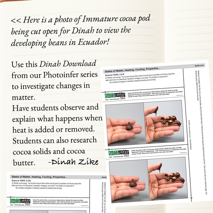 Changes in Matter - Chocolate Day Download! Changes in Matter - Chocolate Day Download!