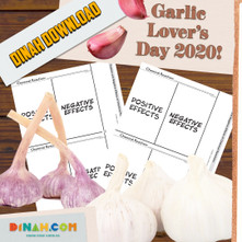 Chemical Reaction Notebooking Foldable!