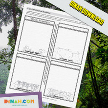 Layers of the Rainforest