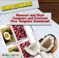 Monocot and Dicot Compare and Contrast Monocot and Dicot Compare and Contrast