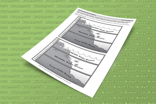 D-nc-s114-0050-en-b intertidal zone biome diagram