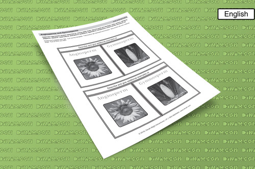 D-nc-s106-0015-en-b angiosperms and gymnoserms-2