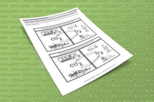 D-nc-s102-0019-en-b oxygen and carbon dioxide cycle