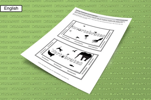 D-nc-s106-0022-en-b animals - vertebrates and invertebrates-2