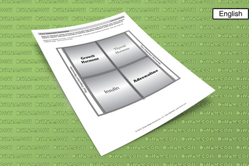 D-nc-s122-0039-en-b four important hormones-2