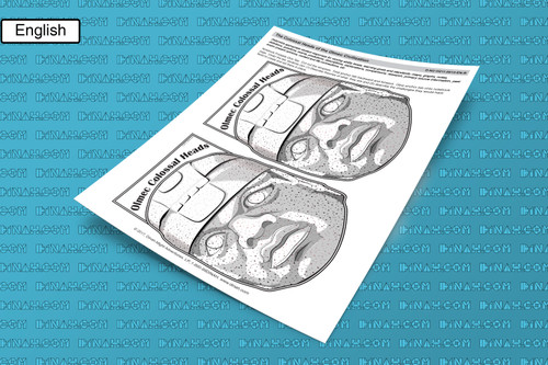 D-nc-h211-0015-en-b the colossal heads of the olmec civilization
