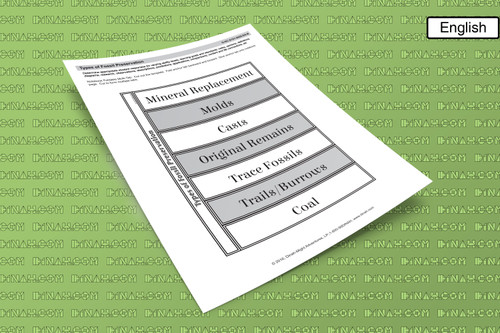 D-nc-s101-0059-en-b types of fossil preservation-2