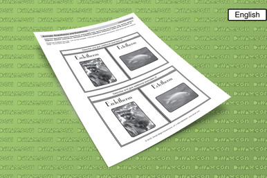 Animals: Endotherms and Ectotherms - dzdownloadablefoldables