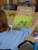 Acrylic 100