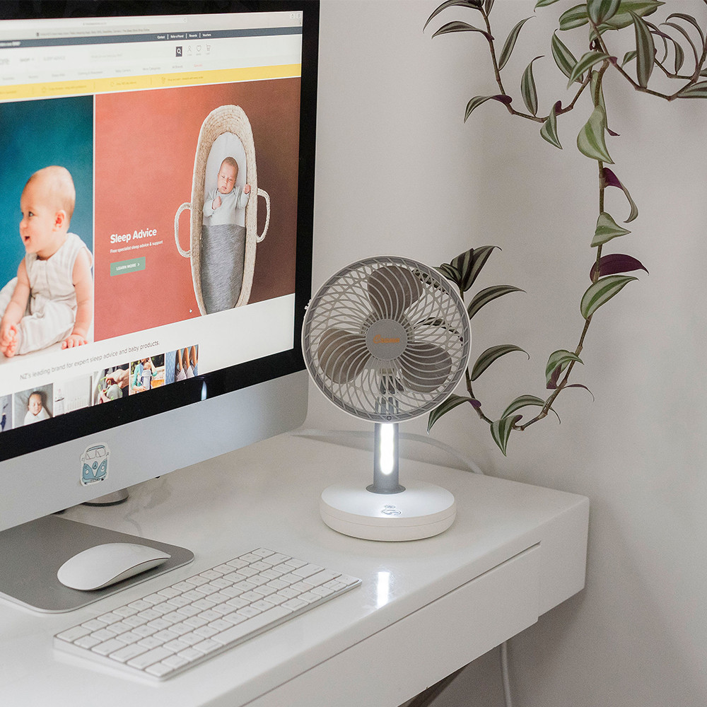 Crane Rechargeable Fan | Humidifiers 