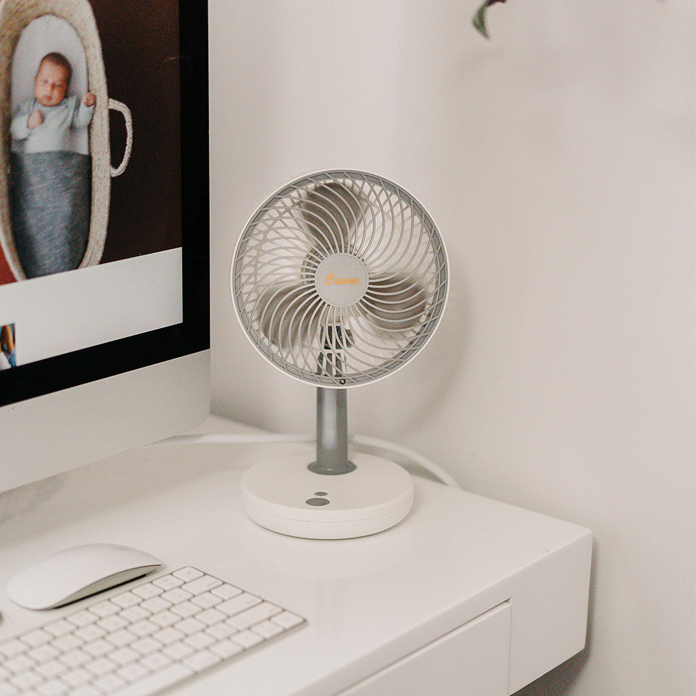 Crane Rechargeable Fan | Humidifiers 