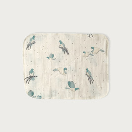 Babu Muslin Wash Cloth 6 Pack