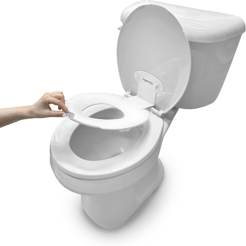 Ingenuity Flip & Sit Potty Seat