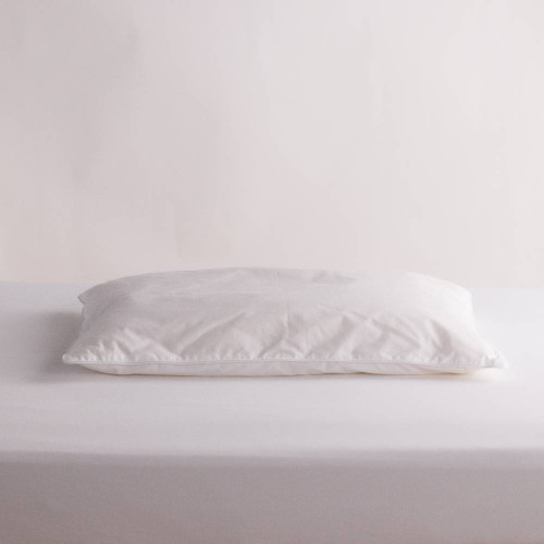 Toddler Cot Size Wool Pillow with Pillowcase