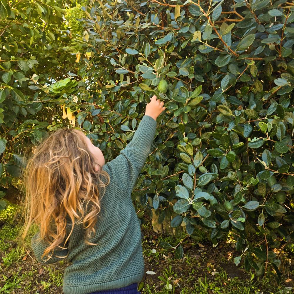 The Sleep Store Merino Knit Cardigan - 0-3 months - 10 years
