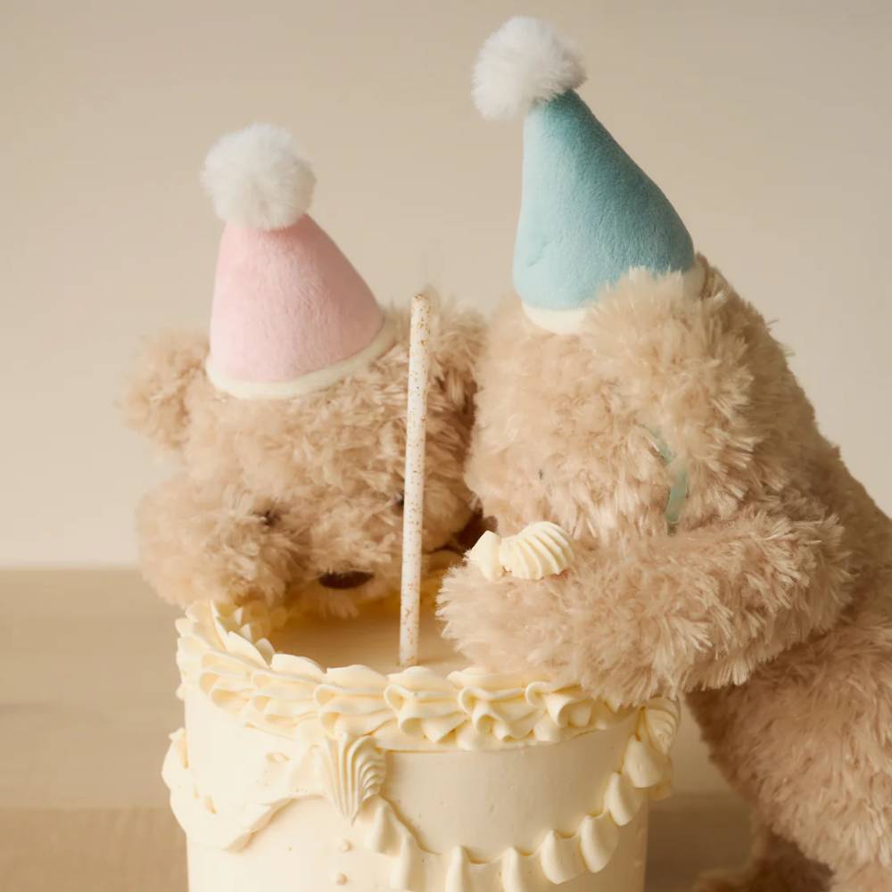 Jamie Kay Snuggle Bunnies - Birthday Arthur