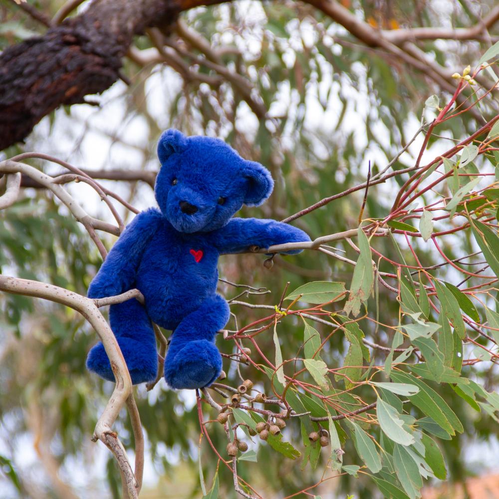 Wonderlings Blue Ted Teddy Bear