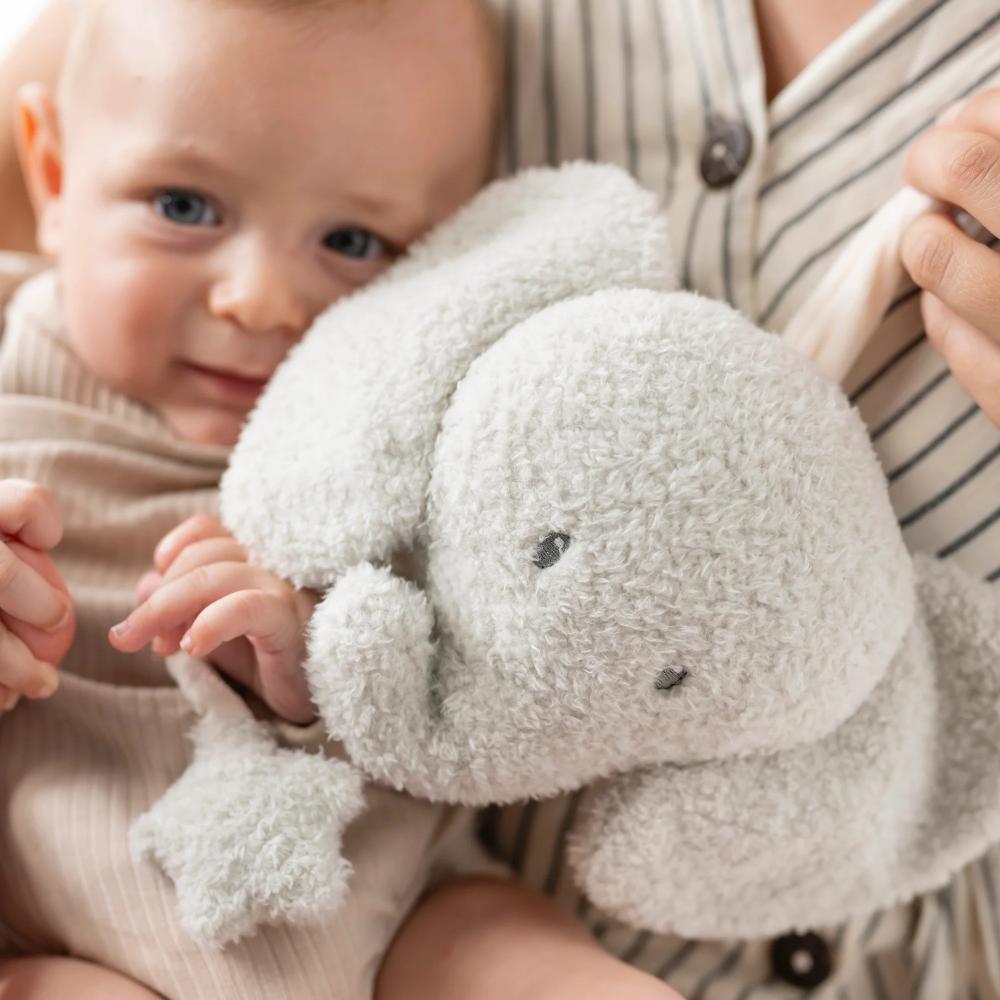 Nattou Teddy Musical Cuddly