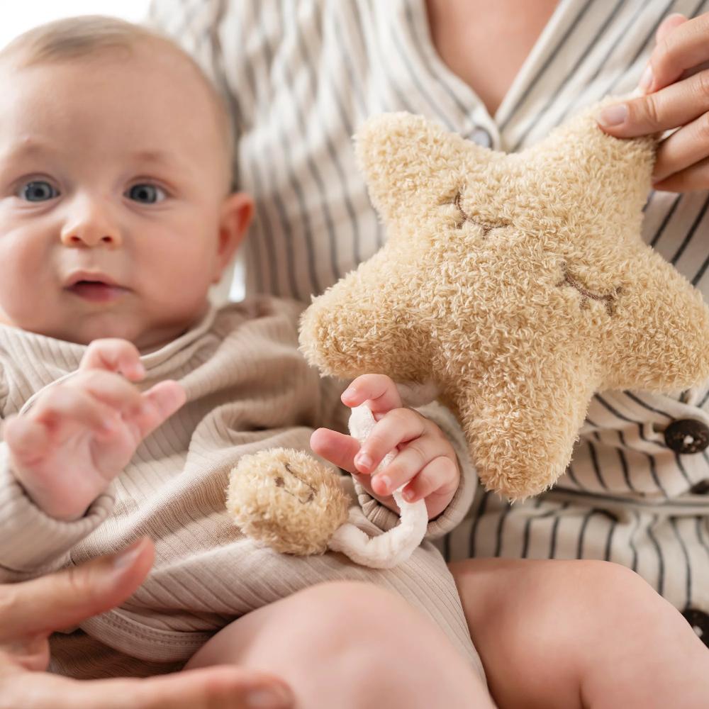 Nattou Teddy Musical Cuddly