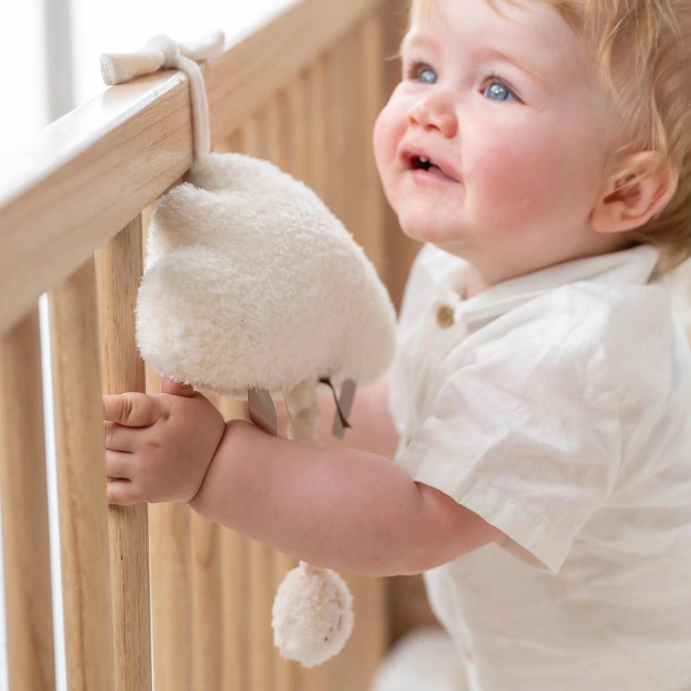 Nattou Teddy Musical Cuddly