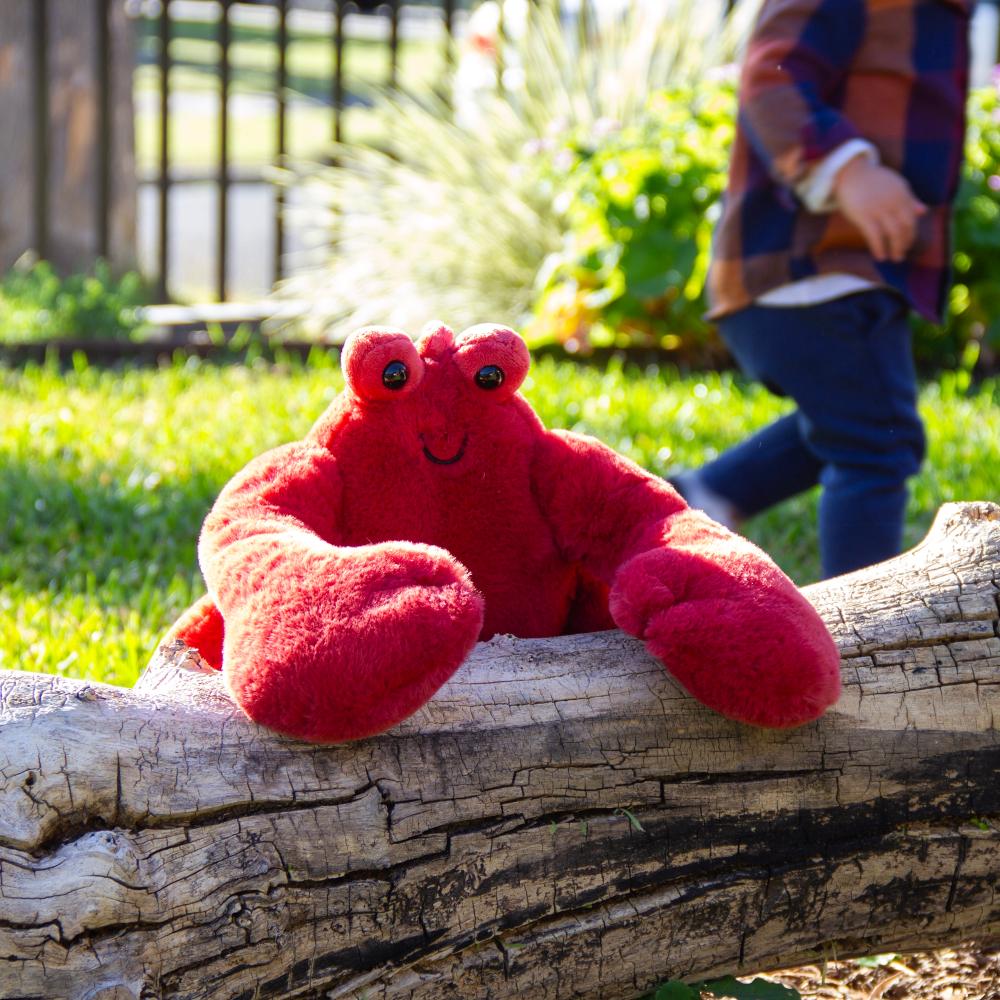 Wonderlings Thibault Lobster