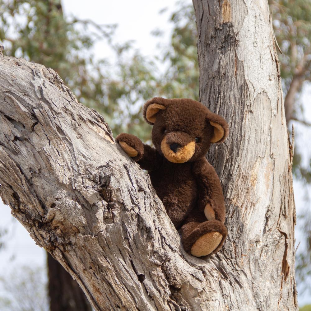 Wonderlings Winnipeg Black Bear