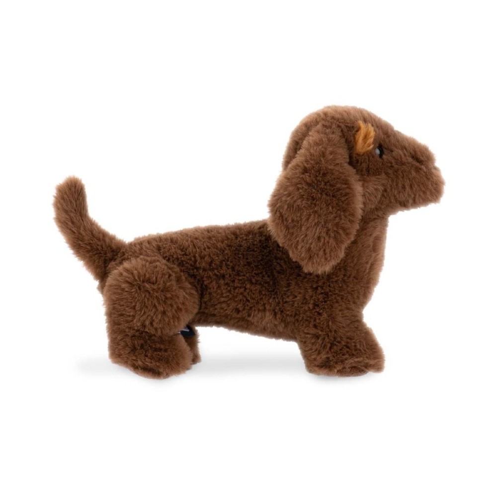 Wonderlings Lump Dachshund
