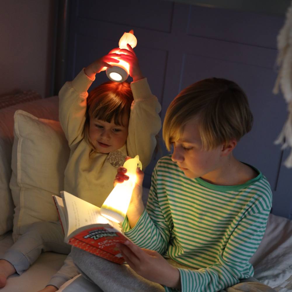 The Sleep Store Beam Buddies - Torch & Nightlight
