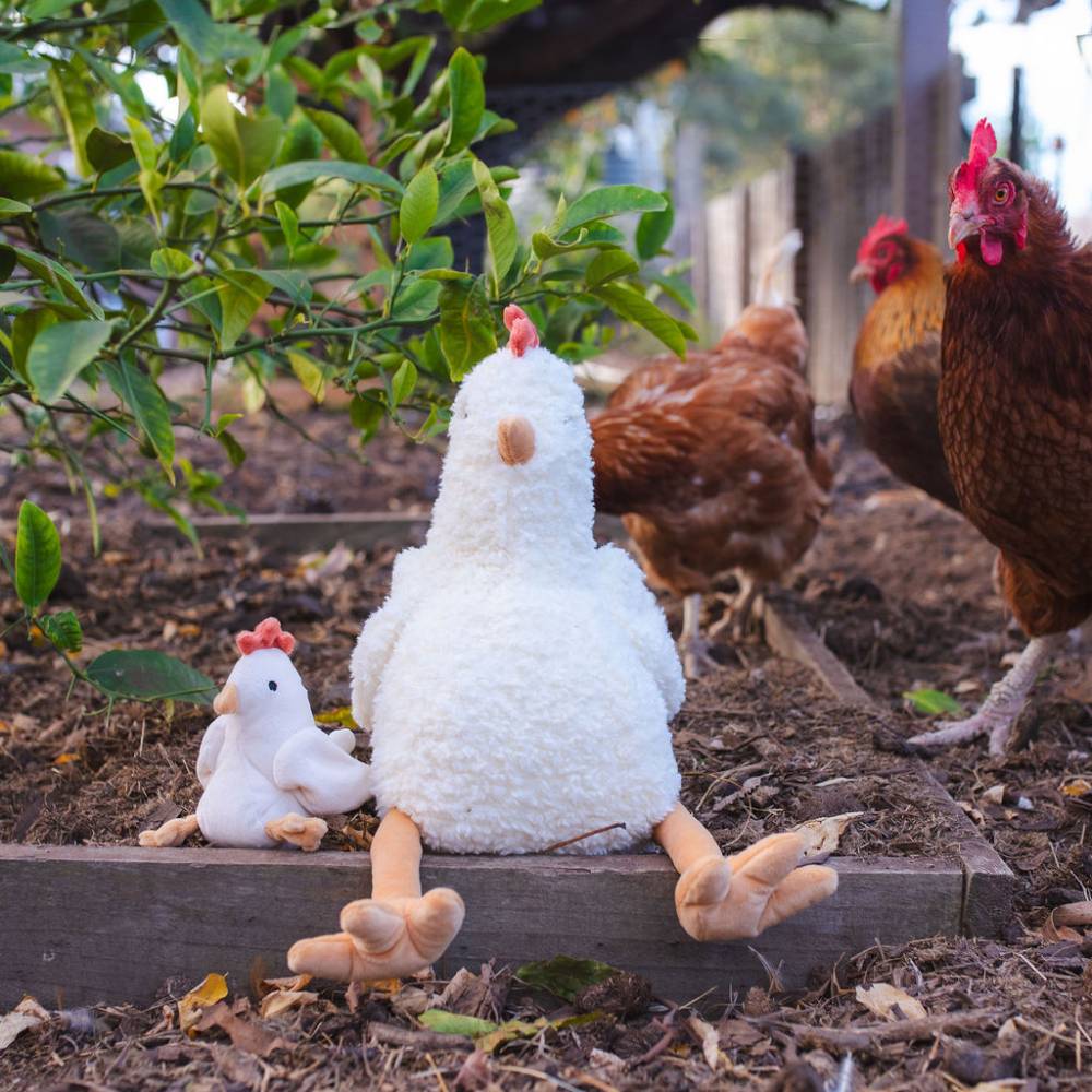Nana Huchy Henrietta the Hen