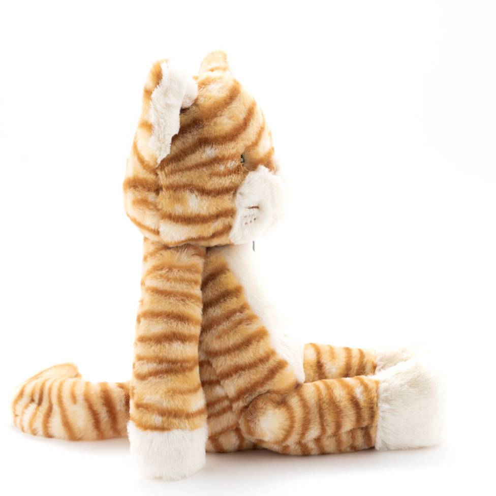 Nana Huchy Ginger the Cat