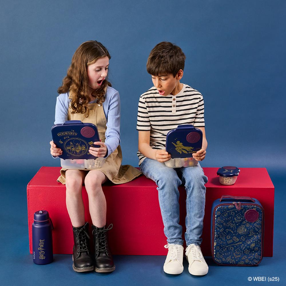 b.box Insulated Flip Top Drink Bottle 1L - Licenced