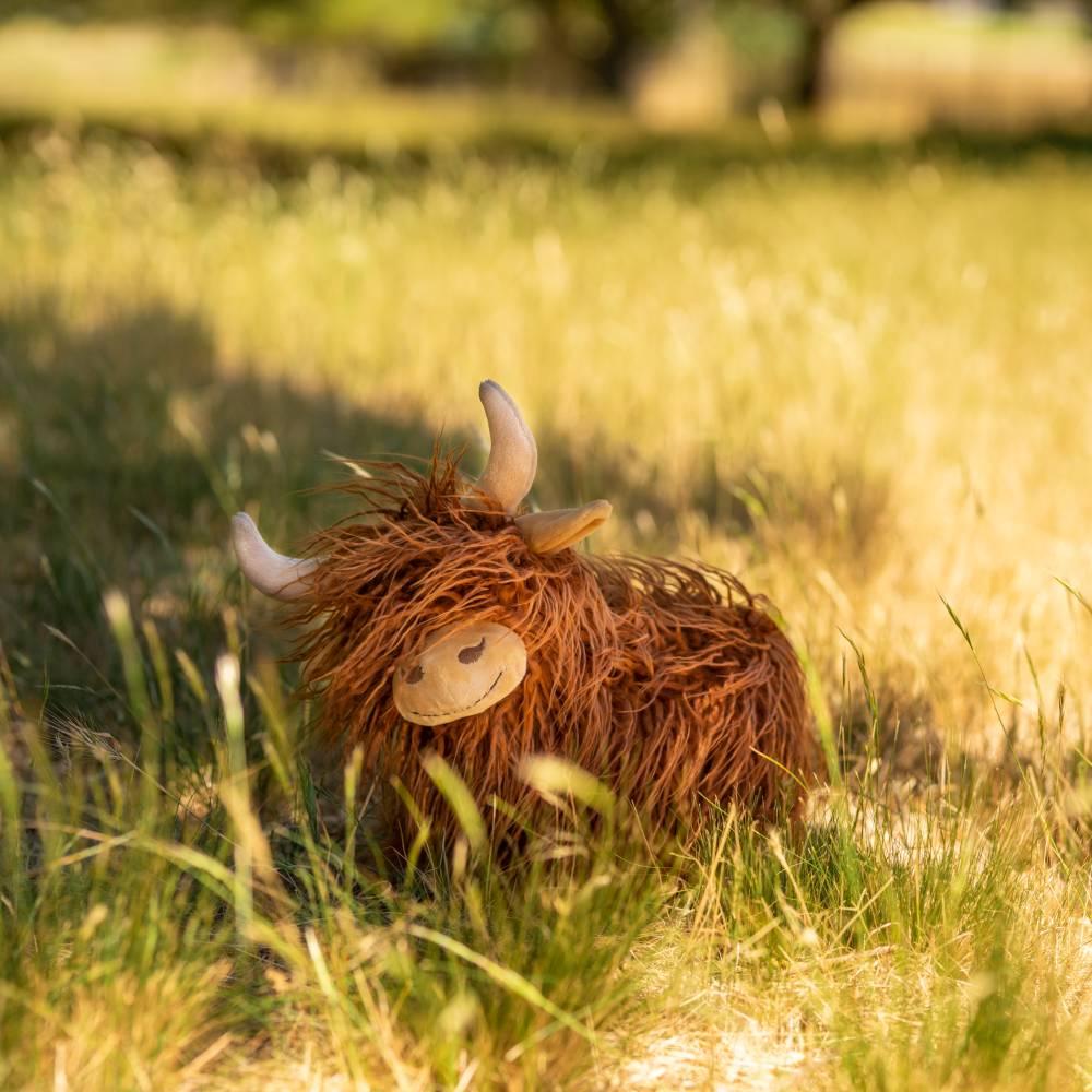 Nana Huchy Heidi the Highland Cow