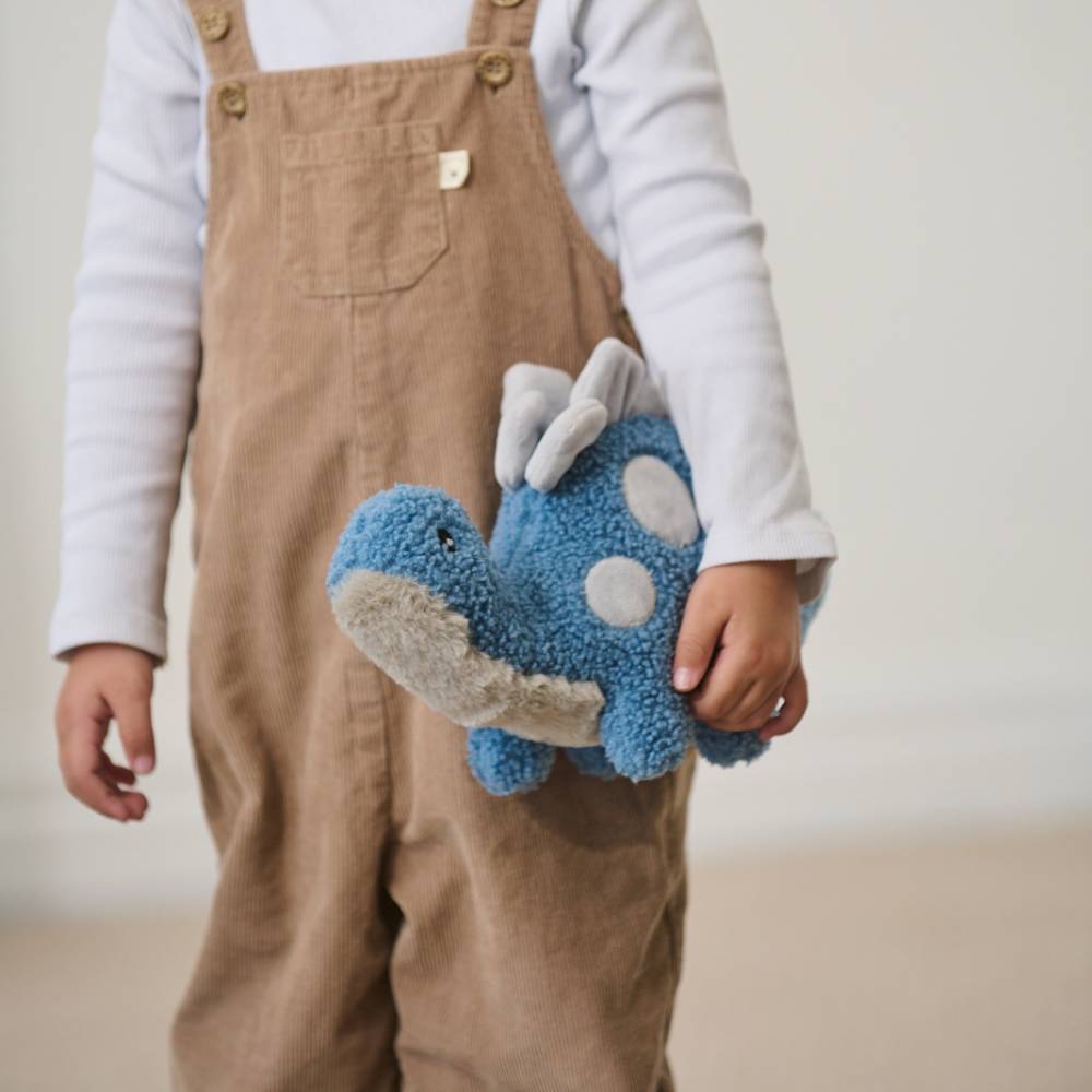 Nana Huchy Stu the Stegosaurus