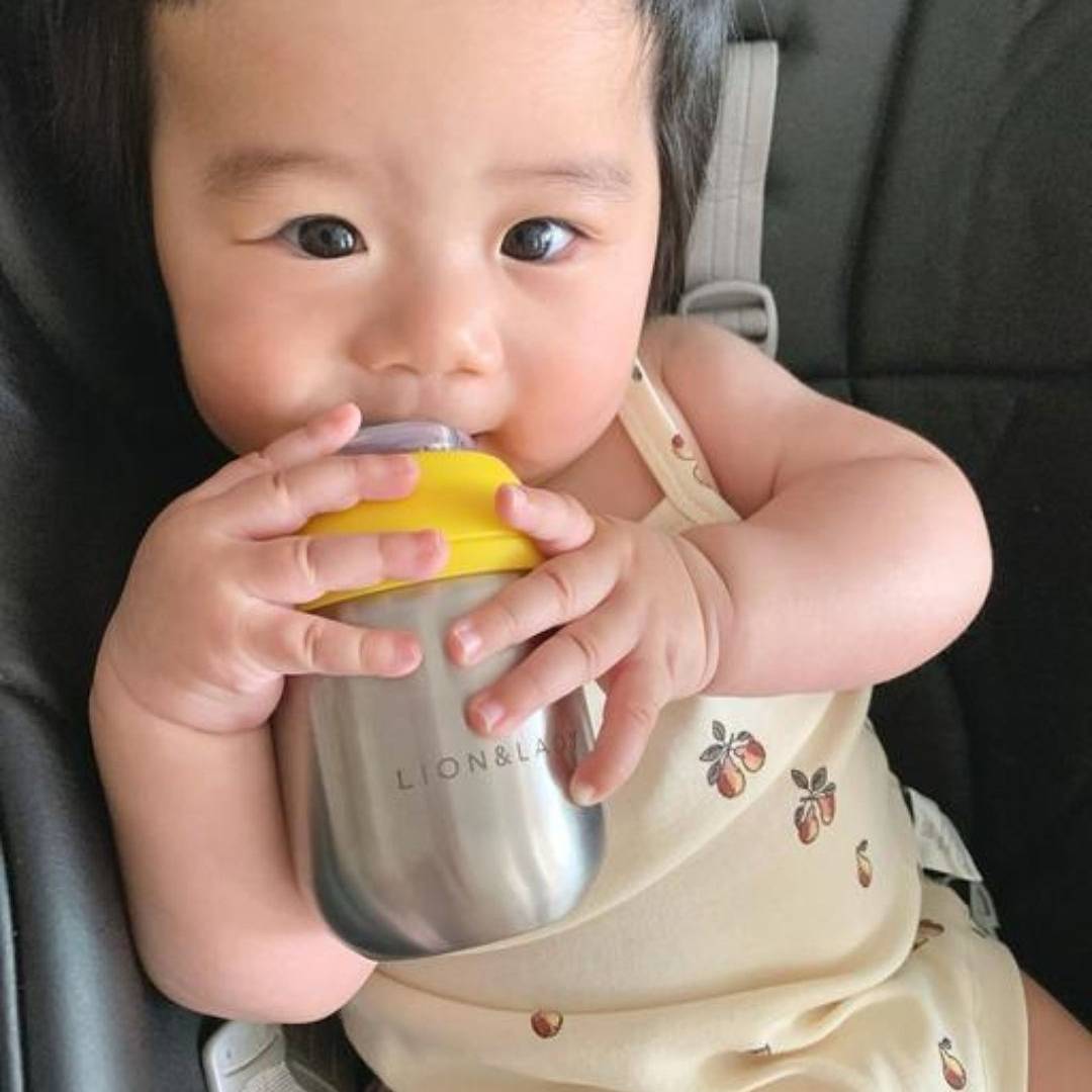 Lion & Lady 18/8 Stainless Steel Toddler Sippy Spout Bottle Cup 210ml Lion & Lady 18/8 Stainless Steel Toddler Sippy Spout Bottle Cup 210ml