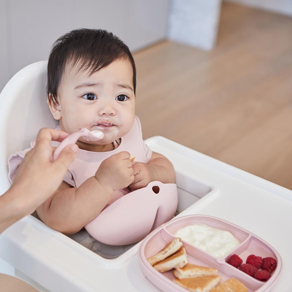 b.box 2 in 1 Suction Plate