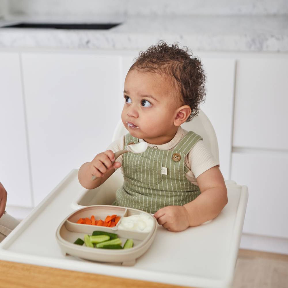 b.box 2 in 1 Suction Plate