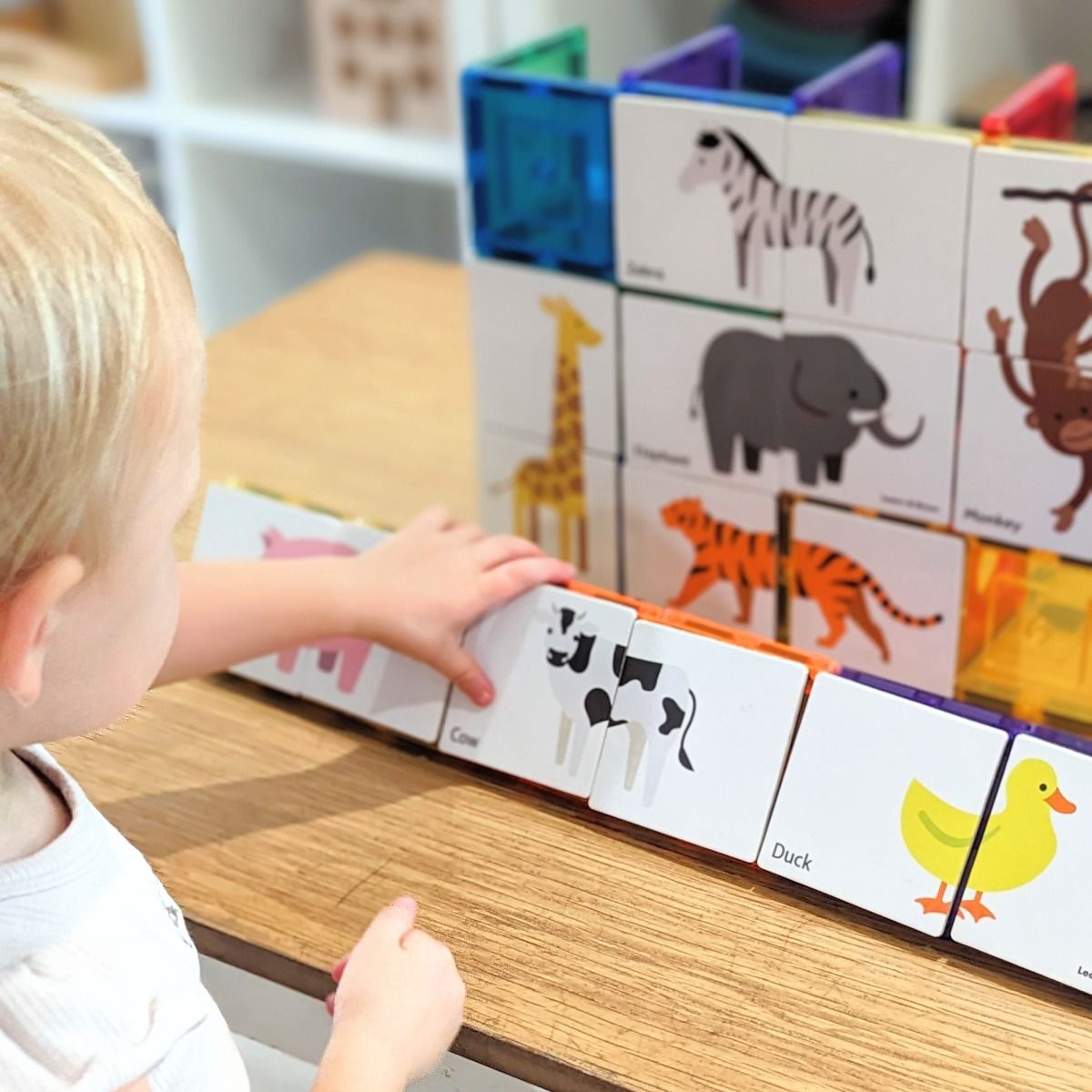 TileTek Tile Toppers Animal Pack 40 piece
