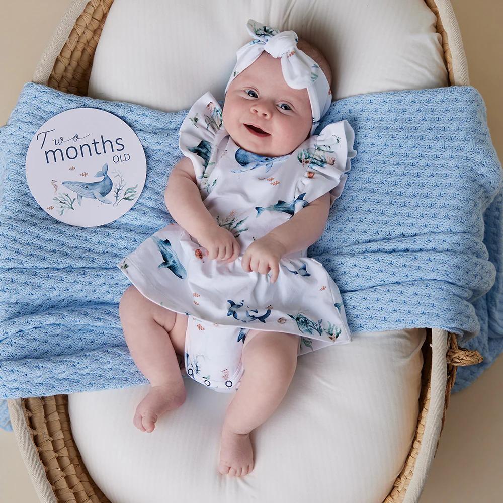 Snuggle Hunny Reversible Milestone Cards