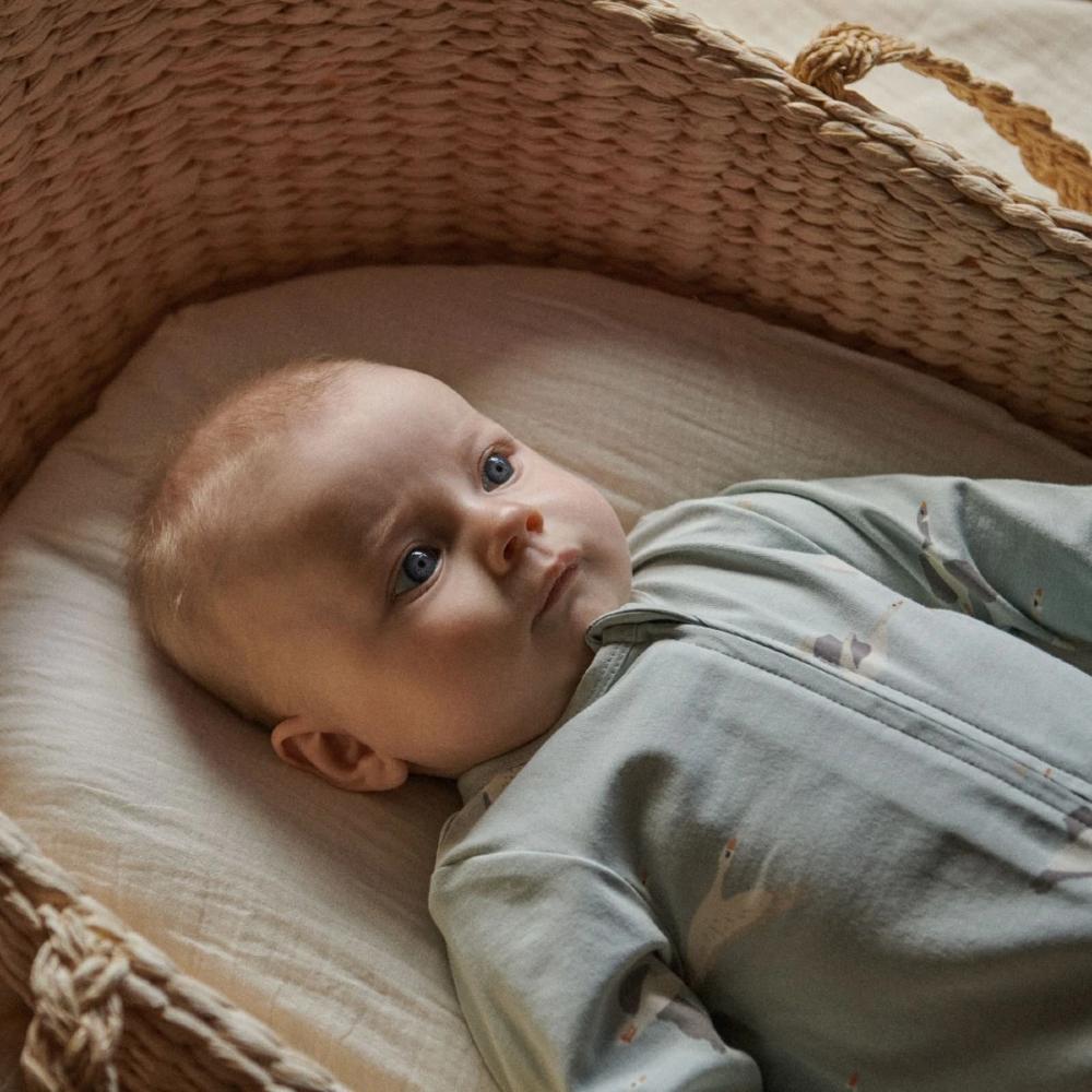 Nature Baby Dreamlands Zip Suit