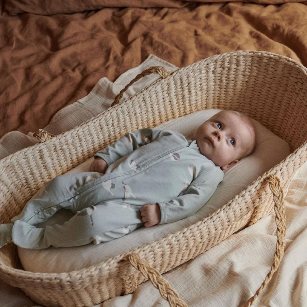 Nature Baby Dreamlands Zip Suit