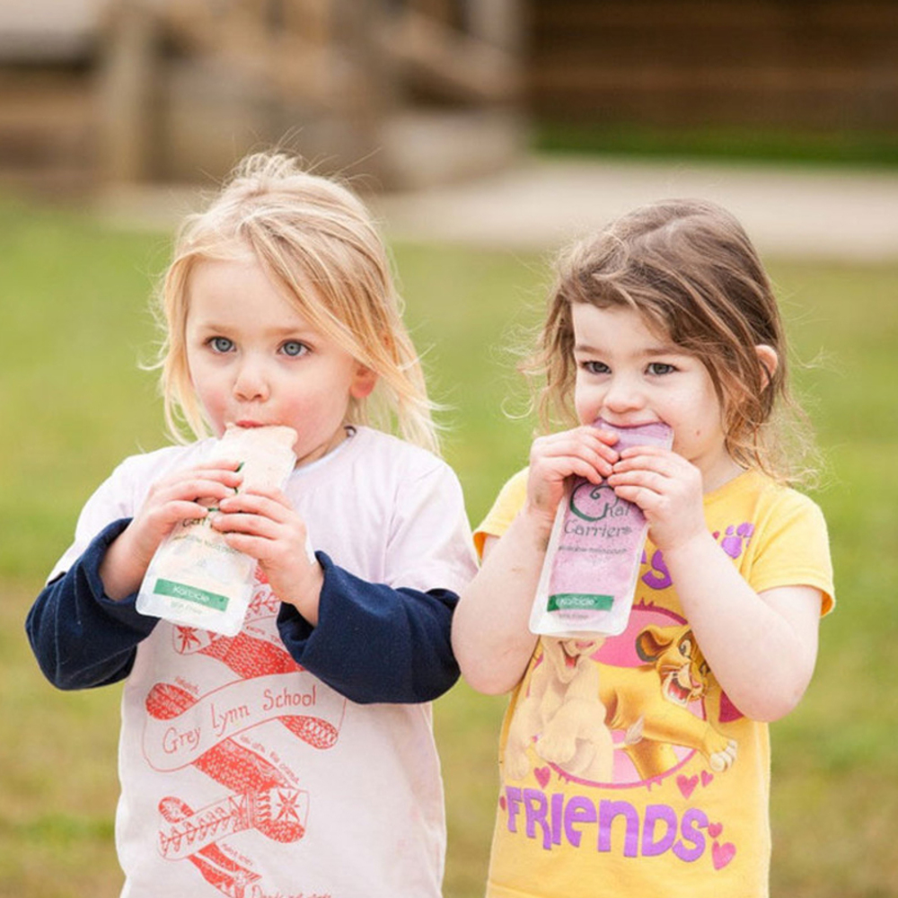 Single Reusable Kai'cicle (Ice Block Pouches)