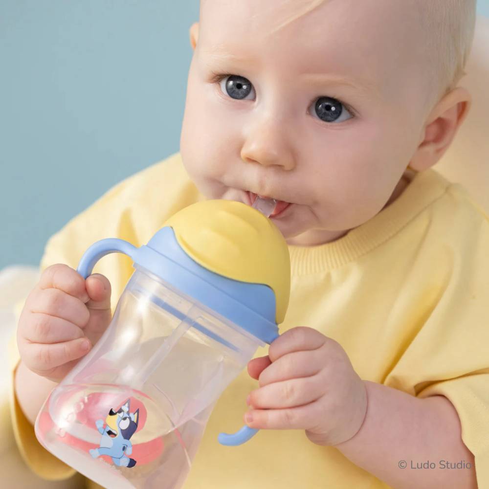 b.box Sippy Cup V2